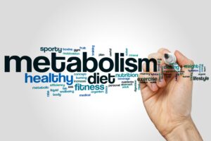 "Metabolism" word association with a hand holding a marker